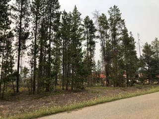 Lot for sale in Valemount, Robson Valley, 995 S Cranberry Lake Road, 263158267 | Realtylink.org