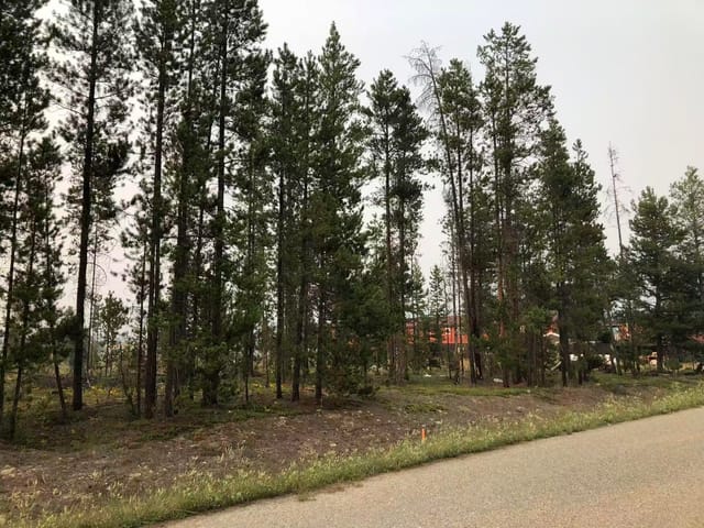 Lot for sale in Valemount, Robson Valley, 995 S Cranberry Lake Road, 263158267 | Realtylink.org