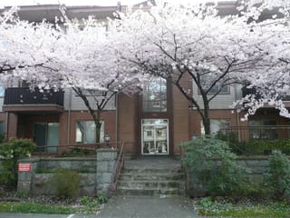 Apartment for sale in Burnaby, Burnaby South, 209 6688 Burlington Avenue, 263158723 | Realtylink.org