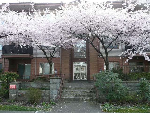 Apartment for sale in Burnaby, Burnaby South, 209 6688 Burlington Avenue, 263158723 | Realtylink.org