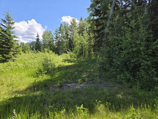 Lot for sale in Prince George, PG Rural North, 16270 Robinson Road, 263159257 | Realtylink.org