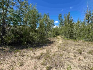 Lot for sale in Vanderhoof, Vanderhoof And Area, 501 Silvermill Road, 263159443 | Realtylink.org