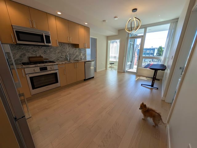 Apartment for rent in Vancouver, Vancouver East, 4FL 1708 Ontario Street, 263160121 | Realtylink.org