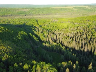 Lot for sale in Wonowon, Fort St. John, 24 Inga Lake Road, 263160728 | Realtylink.org