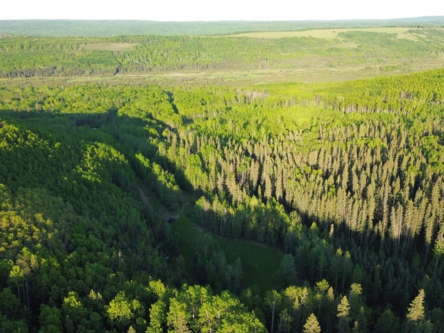 Lot for sale in Wonowon, Fort St. John, 24 Inga Lake Road, 263160728 | Realtylink.org