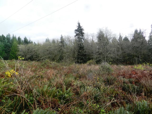 Lot for sale in Langdale, Sunshine Coast, Block 1 Hauka Road, 263160987 | Realtylink.org