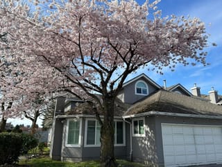 Townhouse for sale in Richmond, Richmond, 30 9731 Capella Drive, 263161104 | Realtylink.org