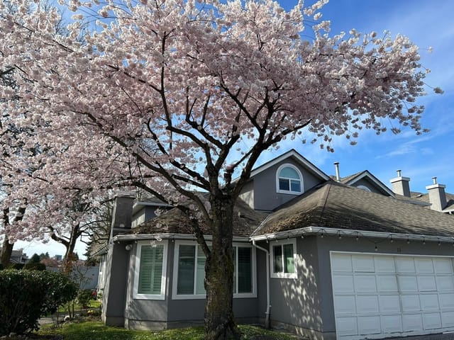 Townhouse for sale in Richmond, Richmond, 30 9731 Capella Drive, 263161104 | Realtylink.org