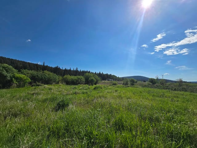 Lot for sale in 100 Mile House, 100 Mile House, 6003 Horse Lake Road, 263161793 | Realtylink.org