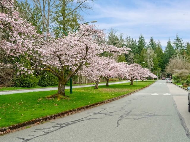 House for rent in Vancouver, Vancouver West, 5xxx Kullahun Drive, 263162210 | Realtylink.org