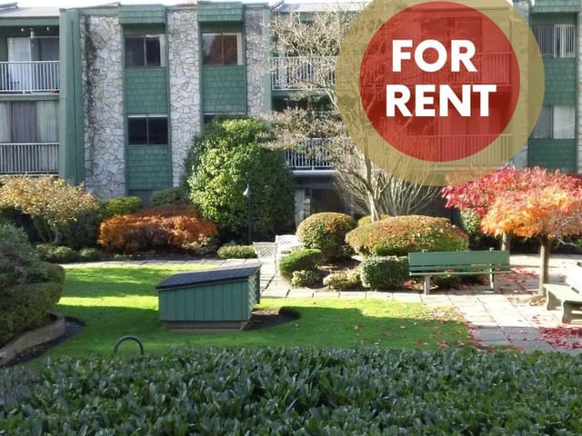 Apartment for rent in Burnaby, Burnaby North, 109 3901 Carrigan Court, 263162806 | Realtylink.org