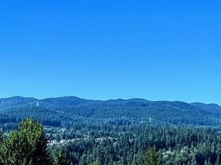 Apartment for rent in Port Moody, Port Moody, 517 3229 St. Johns Street, 263163234 | Realtylink.org