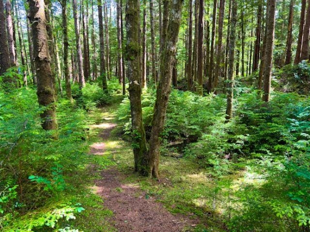 Lot for sale in Masset, Prince Rupert, 269 Naikoon Place, 263163704 | Realtylink.org