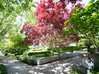 Apartment for sale in Vancouver, Vancouver West, 225 5777 Birney Avenue, 263163765 | Realtylink.org