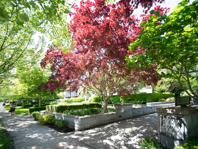 Apartment for sale in Vancouver, Vancouver West, 225 5777 Birney Avenue, 263163765 | Realtylink.org