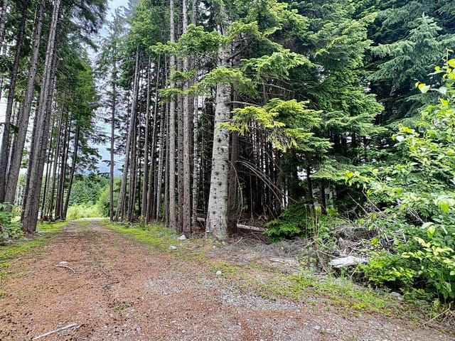 Lot for sale in Kitimat, Kitimat, 193 Elderberry Street, 263164325 | Realtylink.org