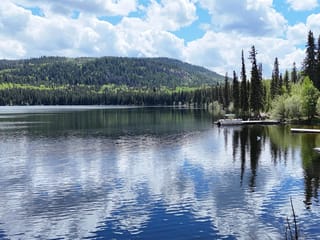 Lot for sale in Bridge Lake, 100 Mile House, 8680 Eagan Lake Road, 263164358 | Realtylink.org