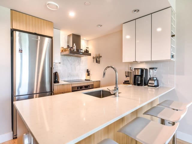 Apartment for rent in Vancouver, Vancouver West, 701 159 W 2nd Avenue, 263164390 | Realtylink.org