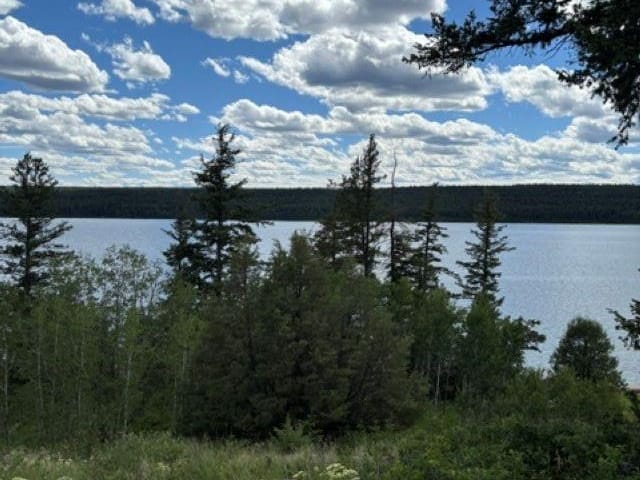 Lot for sale in Lac La Hache, 100 Mile House, Lot 16 Trout Drive, 263164853 | Realtylink.org