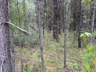 Lot for sale in Deka Lake / Sulphurous / Hathawa, 100 Mile House, Lot 3 Horse Lake Road, 263165178 | Realtylink.org