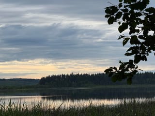 Lot for sale in Quesnel, Quesnel, 2482 Norwood Road, 263165344 | Realtylink.org