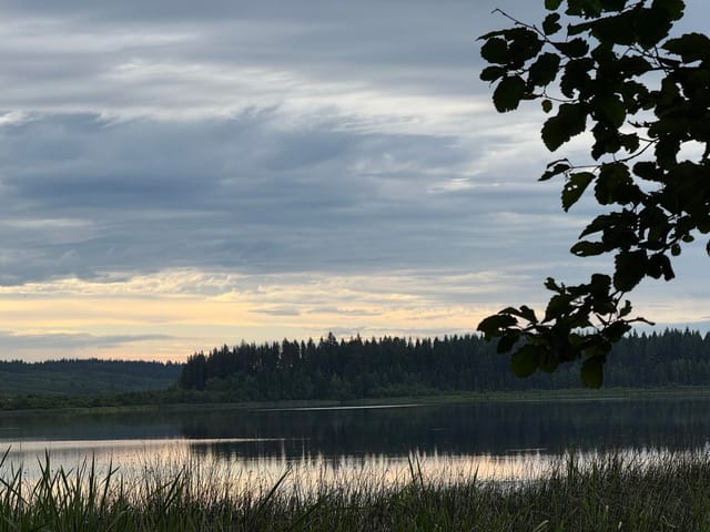 Lot for sale in Quesnel, Quesnel, 2482 Norwood Road, 263165344 | Realtylink.org