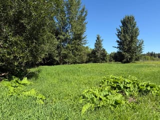 Lot for sale in Quesnel, Quesnel, 2482 Norwood Road, 263165344 | Realtylink.org
