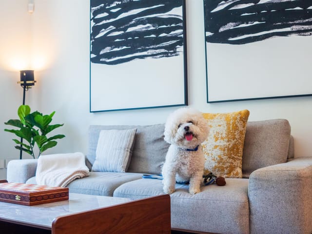 Apartment for sale in Vancouver, Vancouver West, 105 375 W 59th Avenue, 263165962 | Realtylink.org