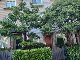 Townhouse for sale in Surrey, Cloverdale, 43 6450 187 Street, 263166252 | Realtylink.org