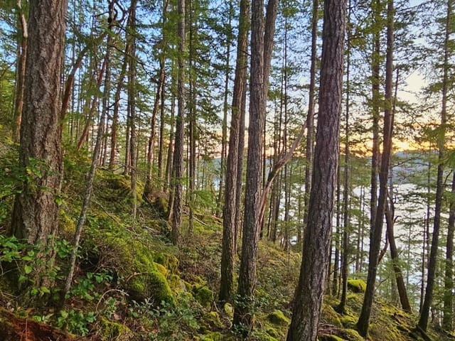 Lot for sale in Sechelt, Sunshine Coast, Lot 108 Seaview Road, 263166551 | Realtylink.org