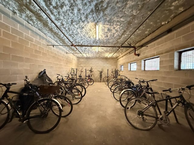 Apartment for rent in Vancouver, Vancouver West, PHX 1503 66th Avenue, 263168476 | Realtylink.org
