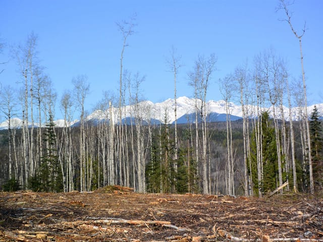 Lot for sale in New Hazelton, Hazelton & Hwy 37, DL 811 16 Highway, 263168735 | Realtylink.org