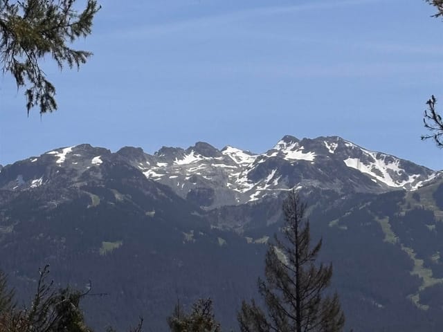 House for sale in Whistler, Whistler, 8588 Drifter Way, 263168852 | Realtylink.org