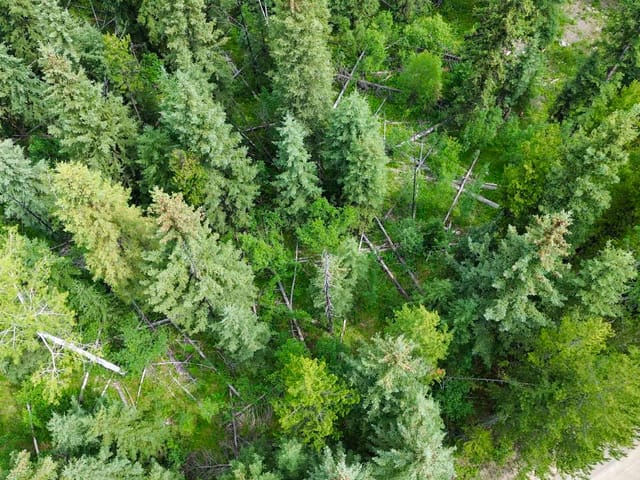 Lot for sale in Deka Lake / Sulphurous / Hathawa, 100 Mile House, LOT 239 King Road, 263169024 | Realtylink.org