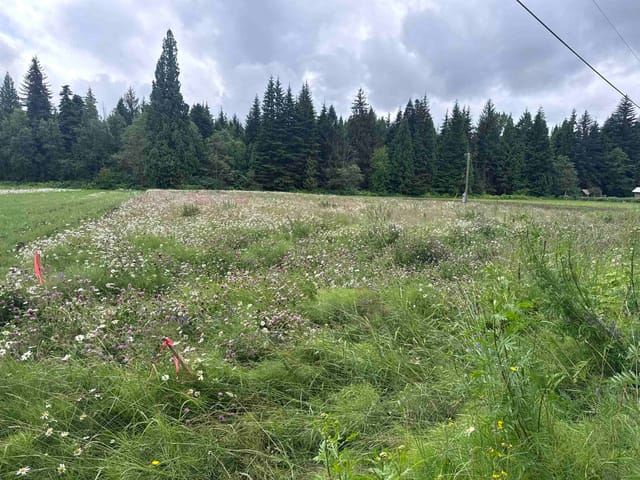 Lot for sale in Terrace, Terrace, Lot F Old Remo Road, 263170914 | Realtylink.org