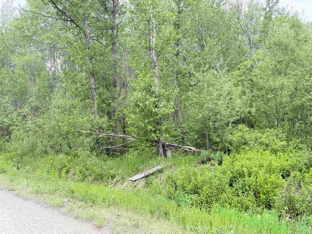 Lot for sale in Smithers, Houston, 23336 Howells Road, 263171153 | Realtylink.org