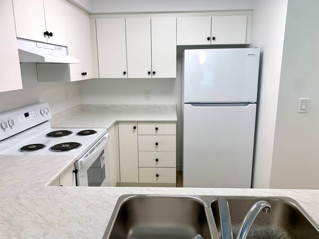 Apartment for sale in Mission, Mission, 301 7265 Haig Street, 263171573 | Realtylink.org