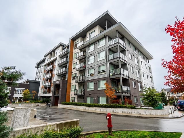 Apartment for sale in Langley, Langley, B228 20834 80 Avenue, 263171580 | Realtylink.org