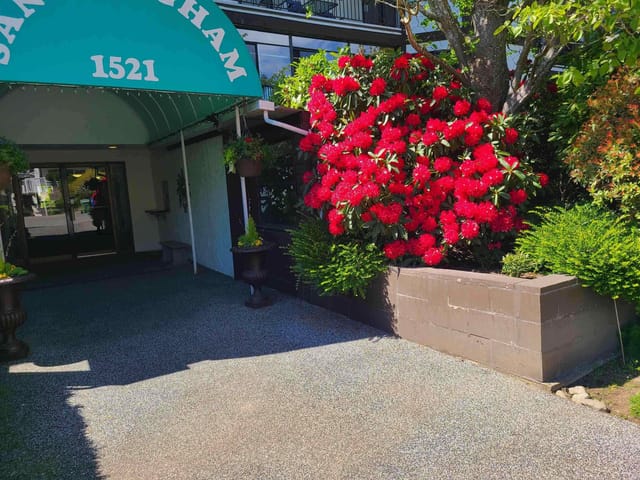 Apartment for sale in White Rock, South Surrey White Rock, 111 1521 Blackwood Street, 263171602 | Realtylink.org