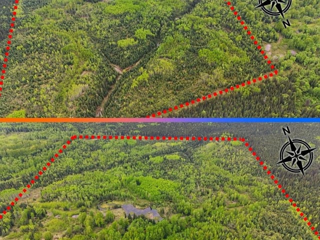 Lot for sale in Prince George, PG Rural East, DL 9203 Beaver Forest Road, 263171661 | Realtylink.org