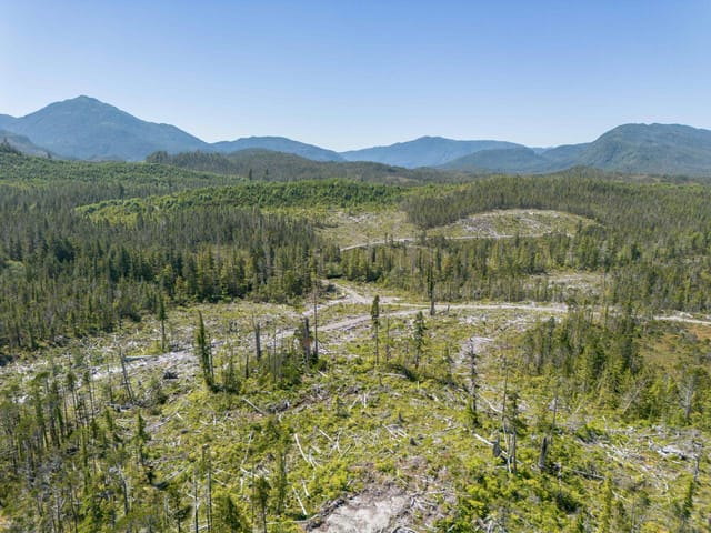 Lot for sale in Prince Rupert, Prince Rupert, DL 1669 Porcher Island, 263174988 | Realtylink.org
