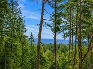 Lot for sale in Galiano Island, Islands-Van. & Gulf, 2-861 Bluff Road, 263175380 | Realtylink.org