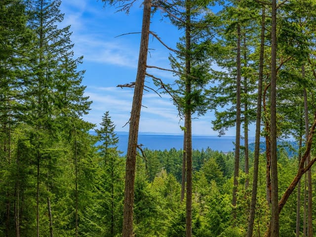 Lot for sale in Galiano Island, Islands-Van. & Gulf, 2-861 Bluff Road, 263175380 | Realtylink.org