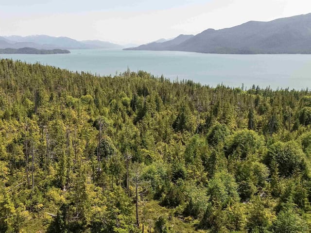 Lot for sale in Prince Rupert, Prince Rupert, DL 1699 Porcher Island, 263175436 | Realtylink.org