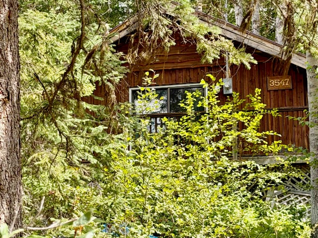 Recreational Property for sale in Canim Lake, 100 Mile House, 3574 Sellars Road, 263175587 | Realtylink.org