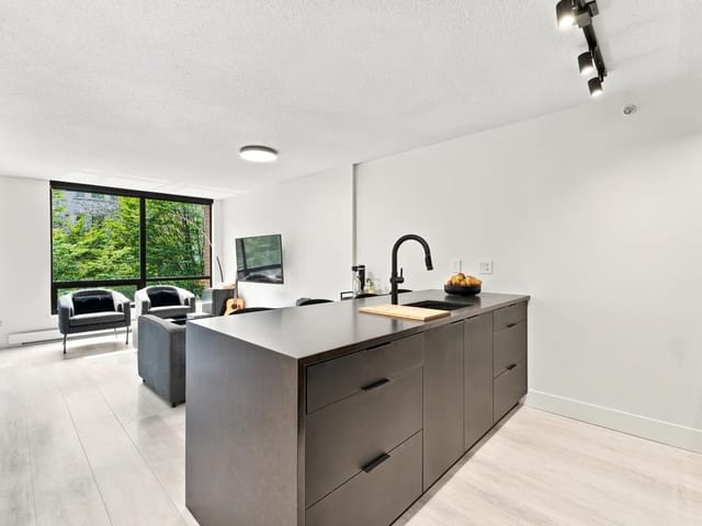 Apartment for rent in Vancouver, Vancouver West, 212 1082 Seymour Street, 263176520 | Realtylink.org