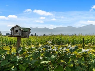 House for sale in Chilliwack, Chilliwack, 46702 Arbutus Avenue, 263176679 | Realtylink.org