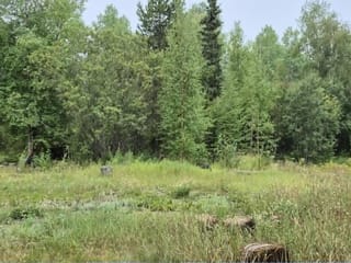 House for sale in Fort St. James, Fort St. James, 11136 Dickinson Loop Road, 263176681 | Realtylink.org