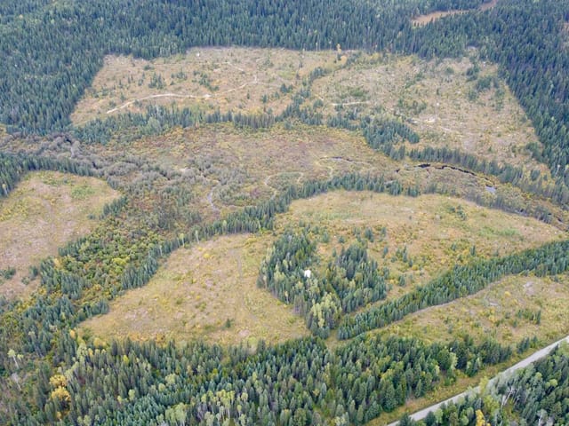 Lot for sale in Forest Grove, 100 Mile House, 3386 Eagle Creek Road, 263177156 | Realtylink.org