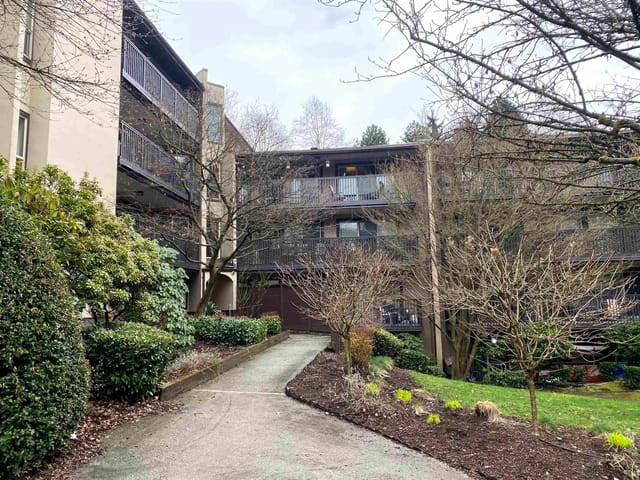 Apartment for rent in Burnaby, Burnaby North, 515 9867 Manchester Drive, 263177360 | Realtylink.org